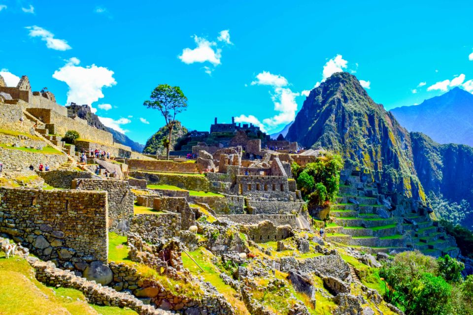 Cusco: 5-Day Salkantay Ultimate Trek to Machu Picchu - Reservation Instructions