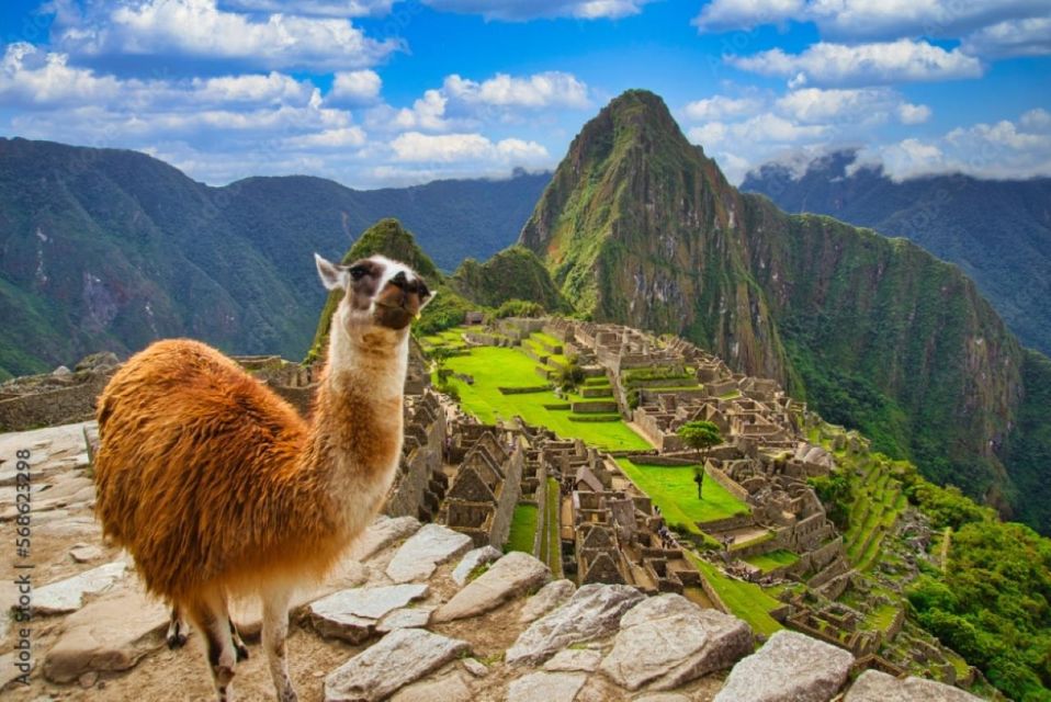 Cusco: Excursion to Machu Picchu 1 Day + General Ticket & Train - Important Notes