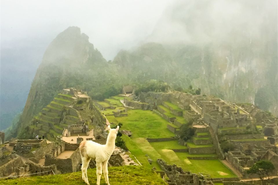 Cusco: Machu Picchu 2-Day Inca Trail Trip & Panoramic Train - Additional Recommendations and Tips