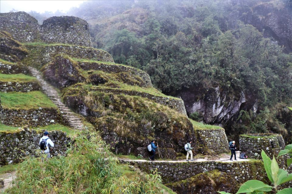 Cusco: Machu Picchu 4-Day Inca Trail Trek & Panoramic Train - Customer Reviews and Testimonials