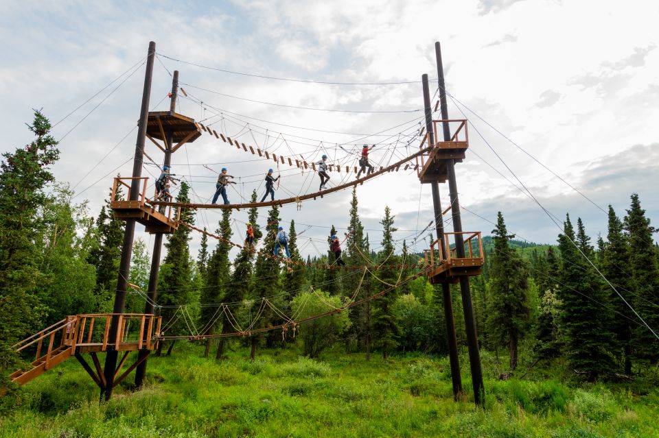 Denali Park Zipline Adventure - Sum Up