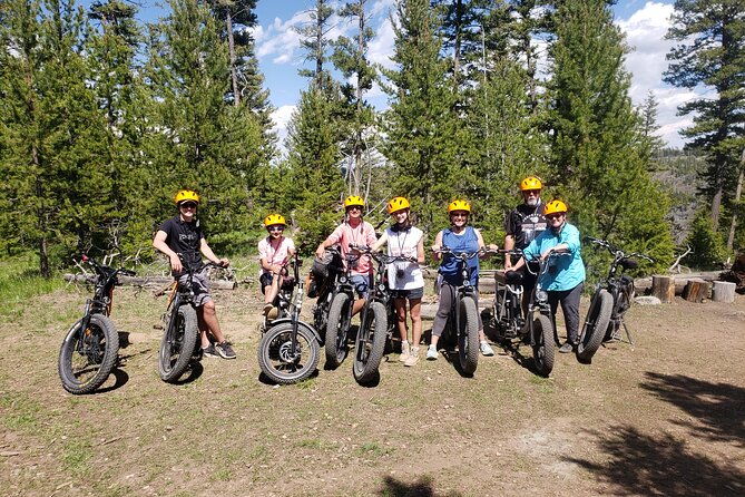 E-Bike Tours in Yellowstone National Park - Sum Up