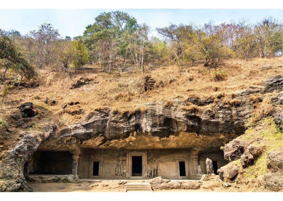 Elephanta Caves Excursion (Guided Half Day Sightseeing Tour) - Cancellation Policy