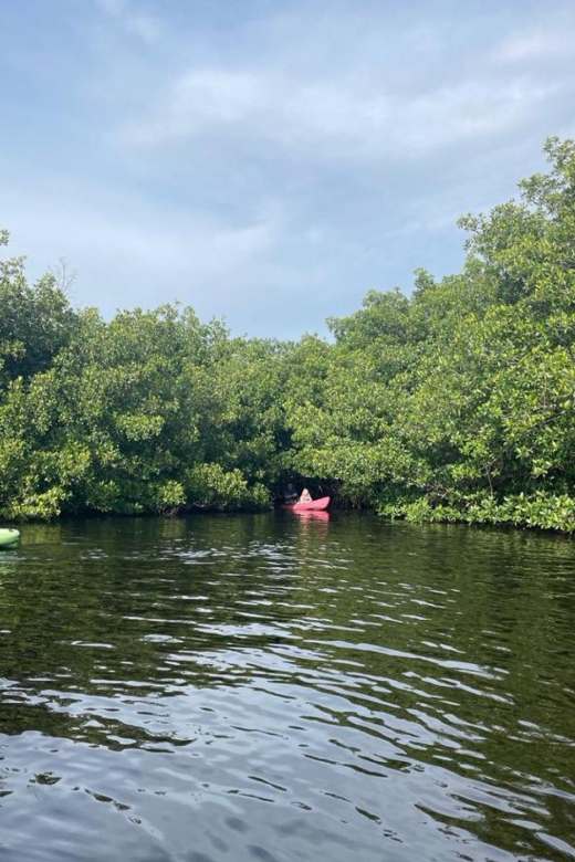 Everglades Kayak Eco Tour - Additional Information