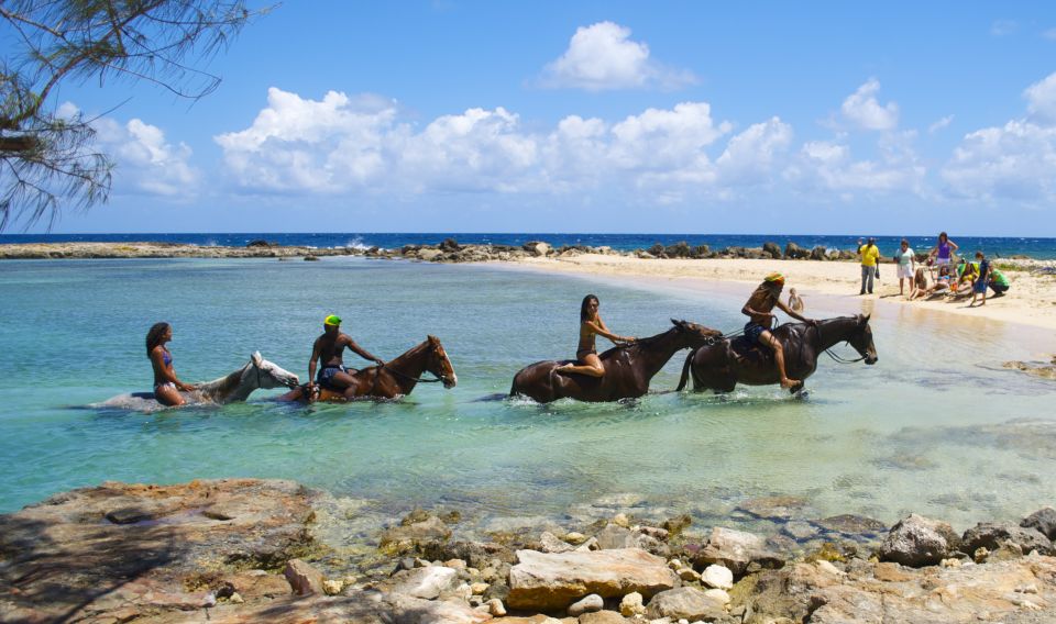 Falmouth/Montego Bay: River Tubing & Beach Ride on Horseback - Sum Up