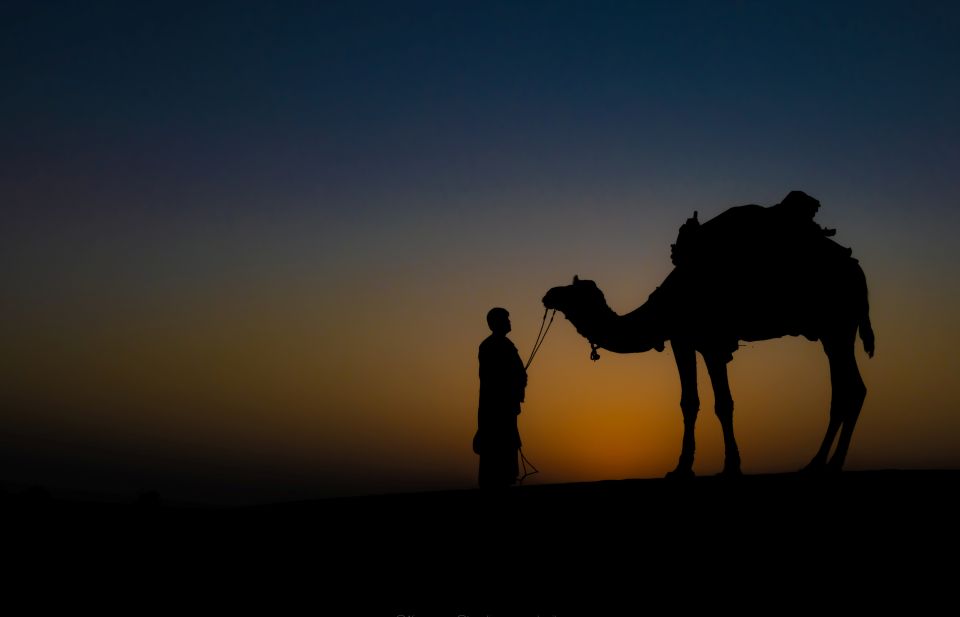 Frenzy Paradise Overnight Desert Camping Tour in Thar Desert - Departure Details