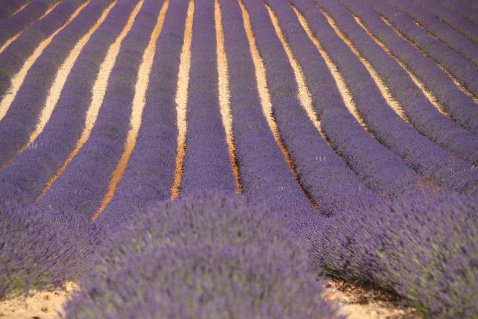 From Aix-En-Provence: Lavender Experience & Gorges Du Verdon - Background