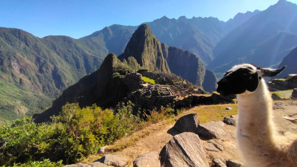 From Cusco: Machu Picchu & Cusco Classic 5 Days - Common questions