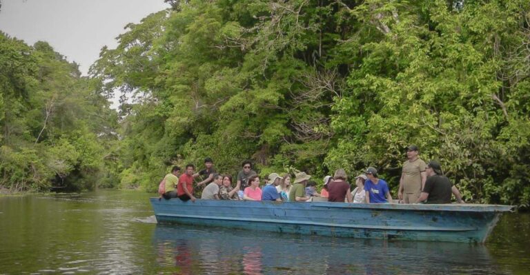 From Iquitos: 4-Day Guided Amazon Wildlife Exploration Tour