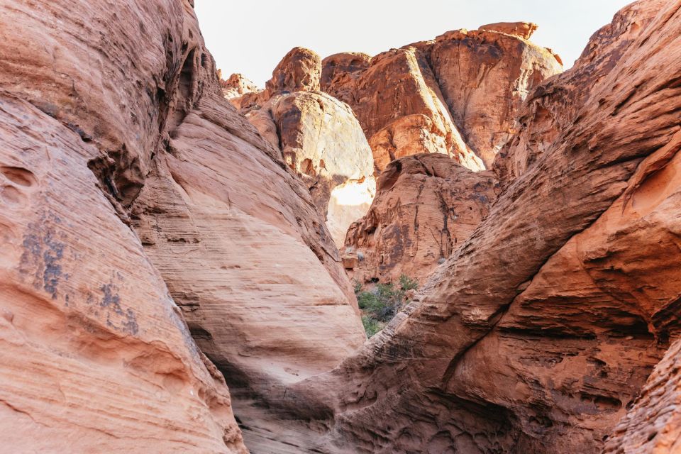 From Las Vegas: Explore the Valley of Fire on a Guided Hike - Pricing and Reservations