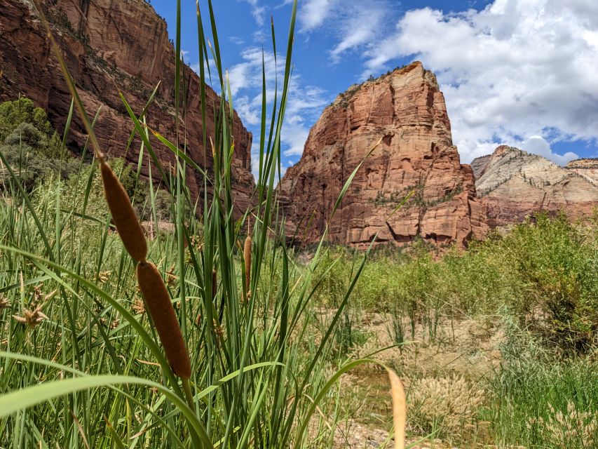 From Las Vegas: Zion National Park Small Group Adventure - Customer Reviews