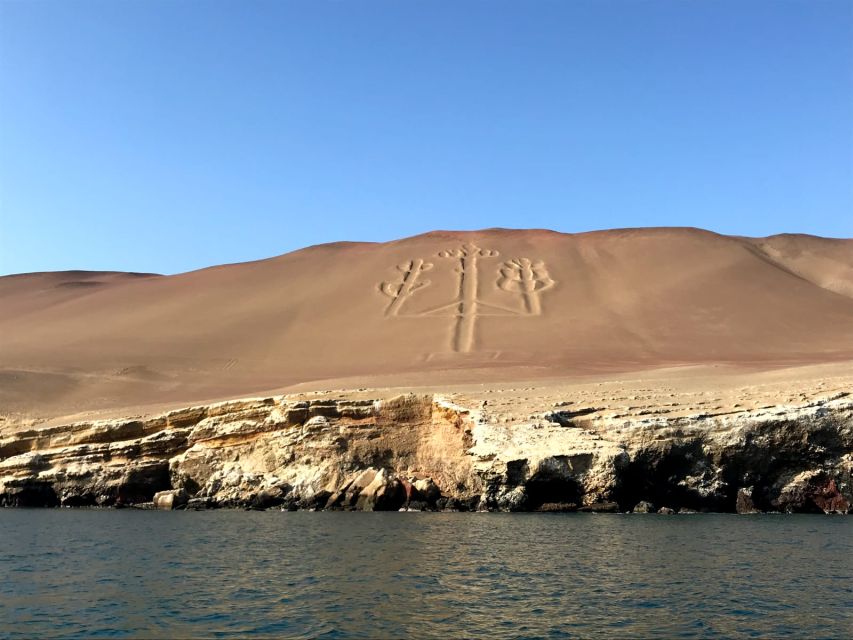 From Lima: Ballestas Island and Paracas Reserve Private Tour - Sum Up