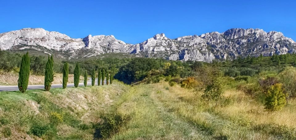 From Marseille: Full-Day Les Baux De Provence Wine Tour - Sum Up