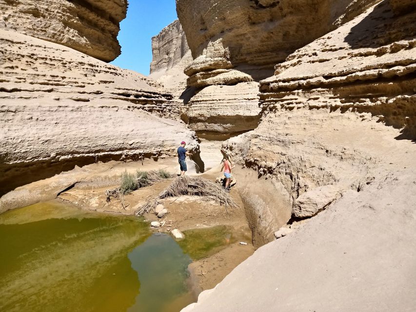 From Paracas/Ica: Canyon of the Lost Guided Day Trip - Inclusions
