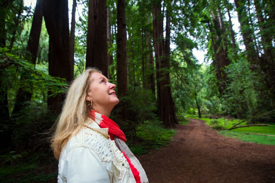 From San Francisco: Muir Woods Redwood Forest Tour - Sum Up