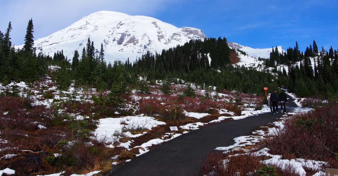From Seattle: Mount Rainier Full-Day Tour - Sum Up