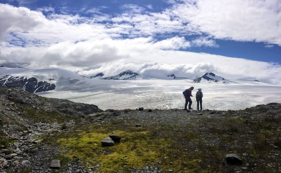 From Seward: Harding Icefield Trail Hiking Tour - Sum Up