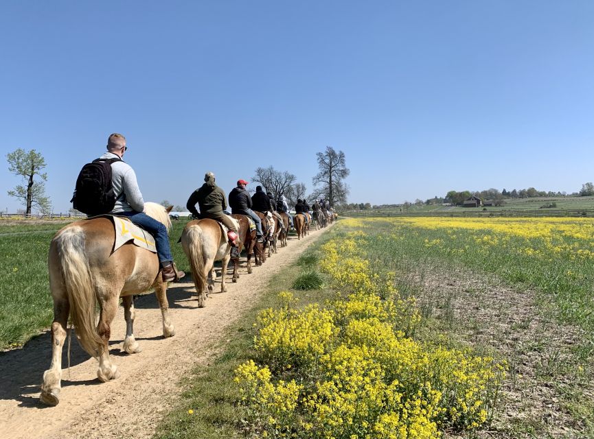 Gettysburg: Licensed Guided Battlefield Horseback Tour - Common questions