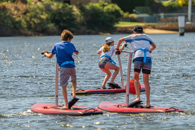 Guided Step-Up Paddle Board Tour of Narrabeen Lagoon - Sum Up