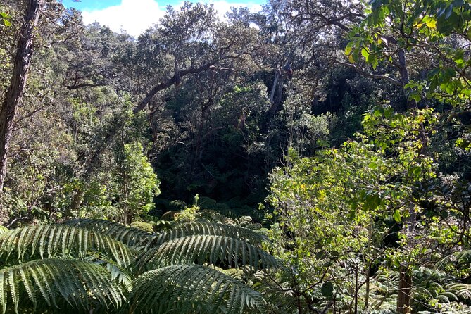 Hawaiis Volcanoes National Park From Hilo Only - Cancellation Policy Details