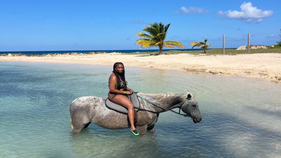 Horseback Ride N Swim in Montego Bay - Inclusions Provided