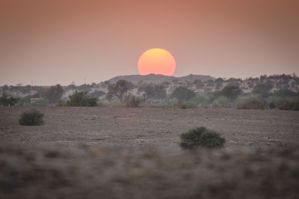 Jaisalmer: 2-Day Thar Desert Experience - Sum Up