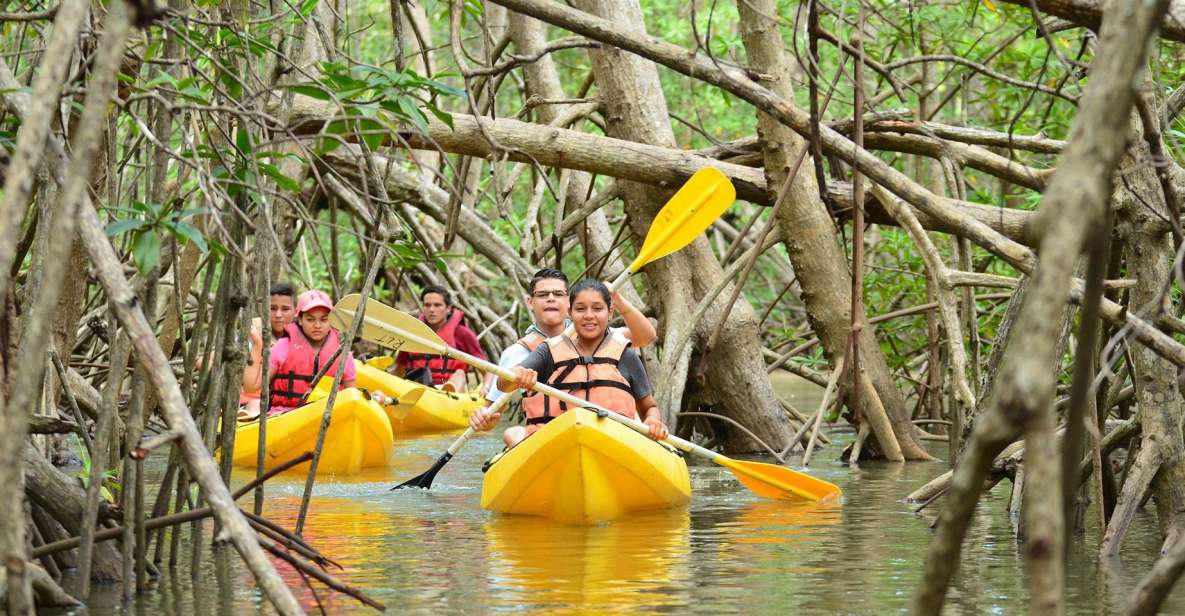 Juan Dolio: Los Haitises Guided Hike and Kayaking - Inclusions