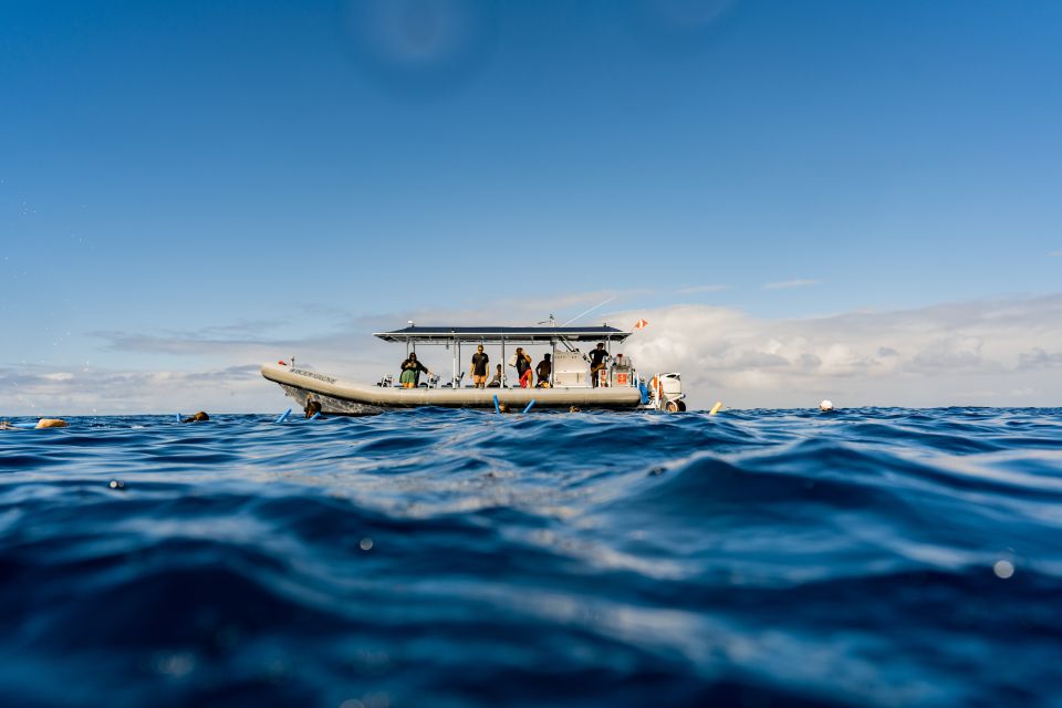 Kailua-Kona: Big Island Morning Snorkeling Tour With Lunch - Common questions