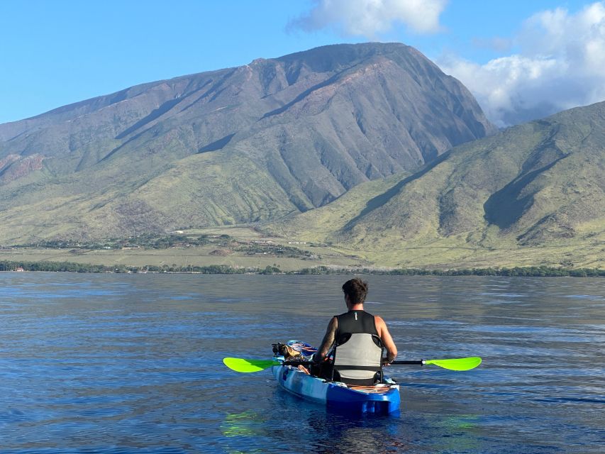 Kayak, Whale Watch And Snorkel At Turtle Town - Testimonials