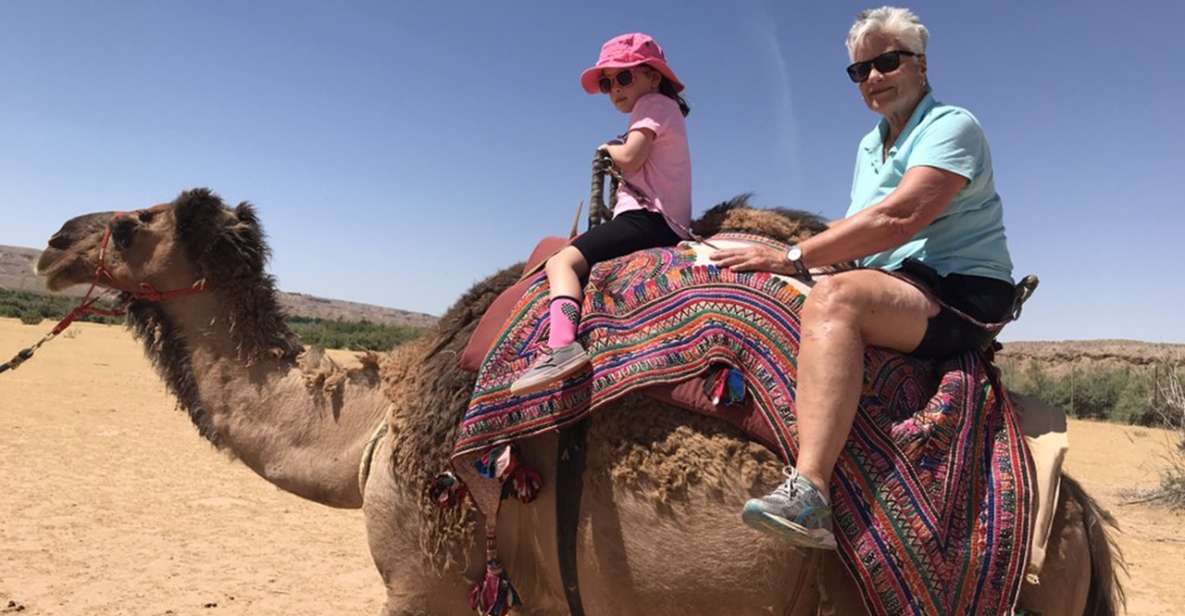 Las Vegas: Desert Camel Ride - Sum Up