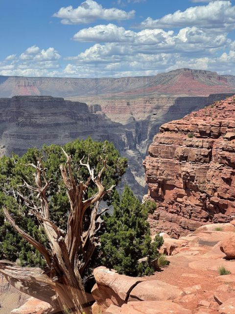 Las Vegas: Grand Canyon National Park West Rim Tour W/ Lunch - Sum Up