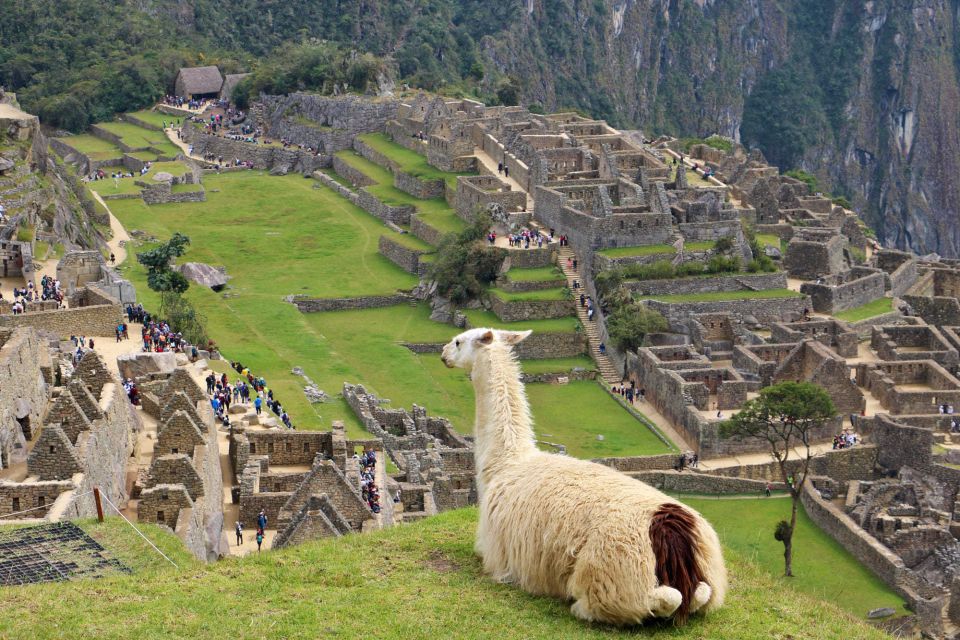 Lima: 9-Day Peru Express With Ica, Cusco, and Puno - Sacred Valley of the Incas Visit