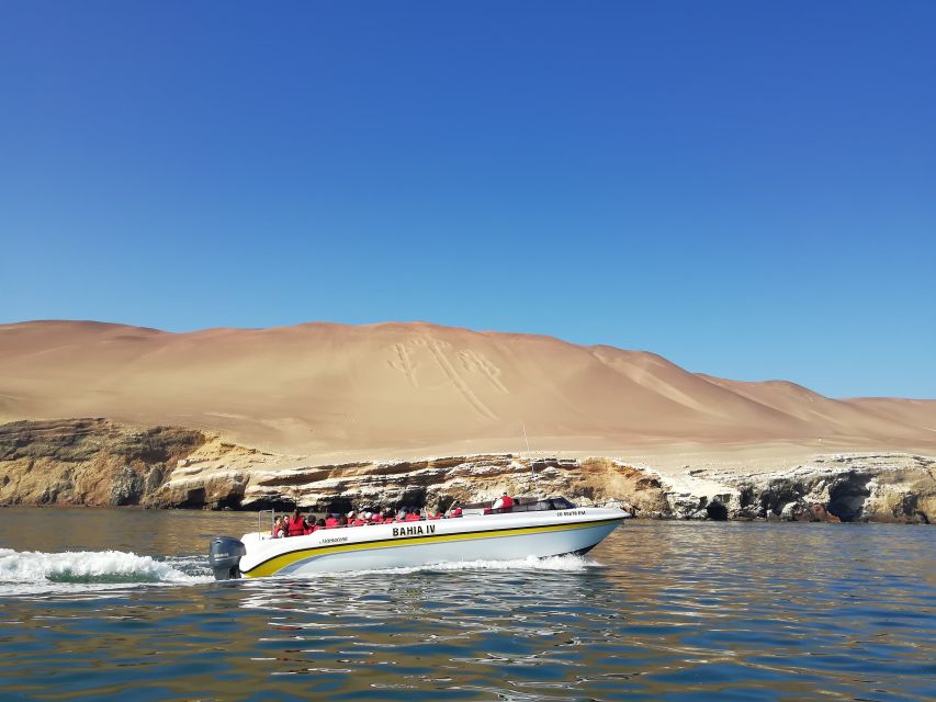 Lima: Ballestas Islands, Winery and Nazca Lines Private Tour - Sum Up