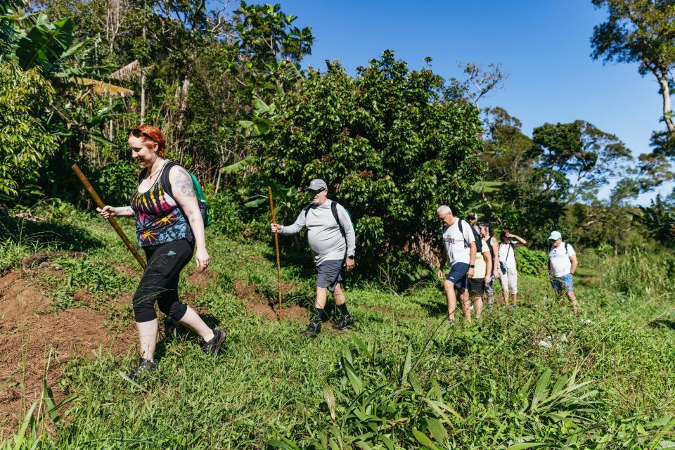 Maui: Hike to the Rainforest Waterfalls With a Picnic Lunch - Common questions