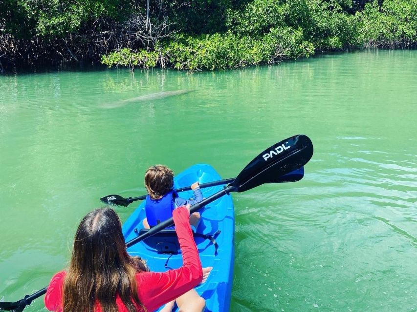 Miami: Manatee Season Tour Paddleboard or Kayak Tour - Sum Up