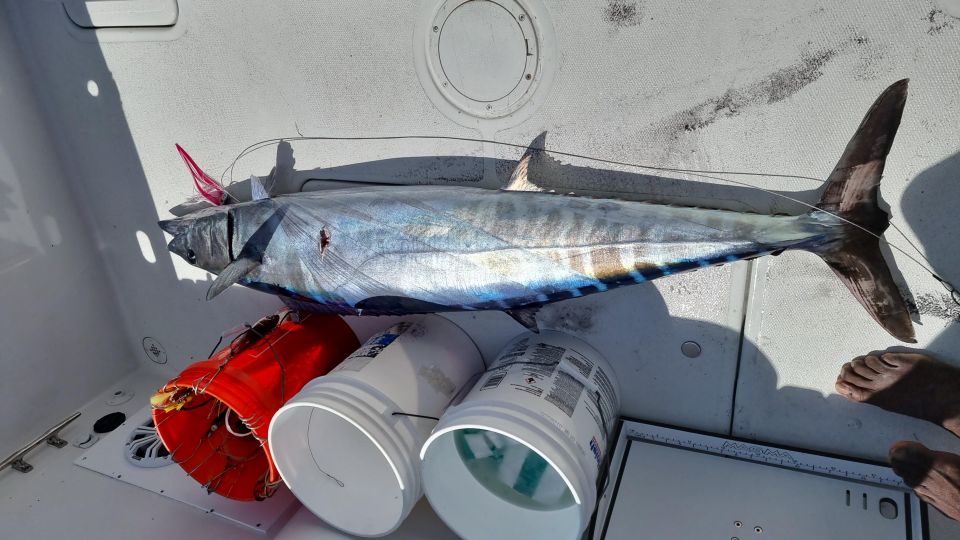 Nassau: Sport-Fishing Private Charter . - Sum Up