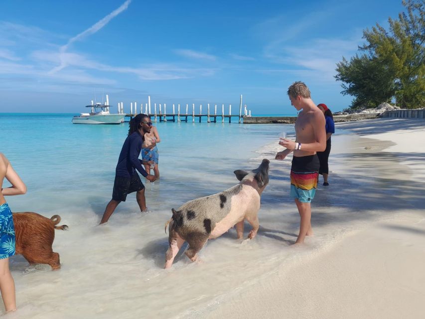 Nassau: Swim With Sharks, Swimming Pigs Tour - Common questions