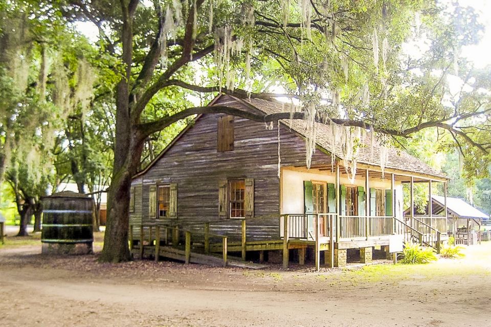 New Orleans: Destrehan Plantation & Swamp Combo - Wildlife Encounters