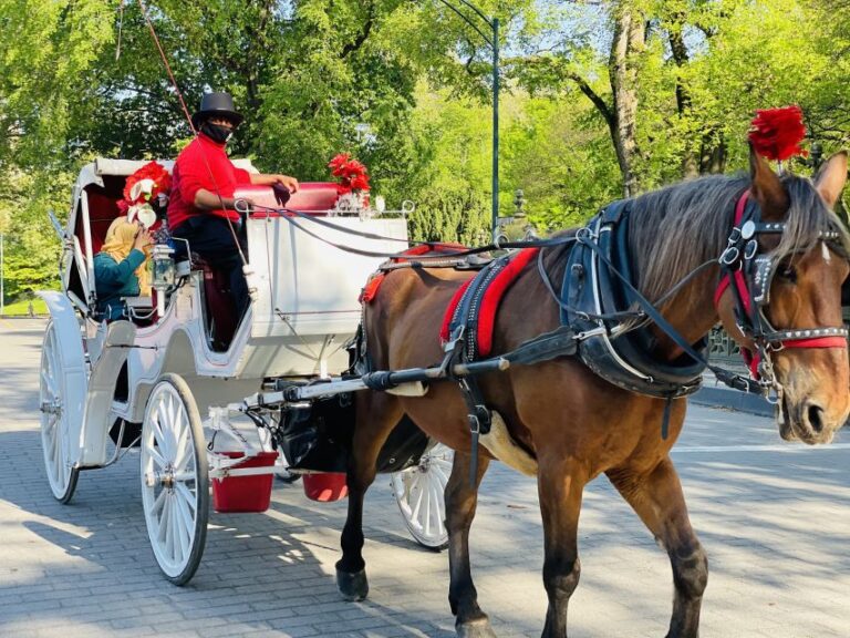 New York City: Central Park Private Horse and Carriage Tour