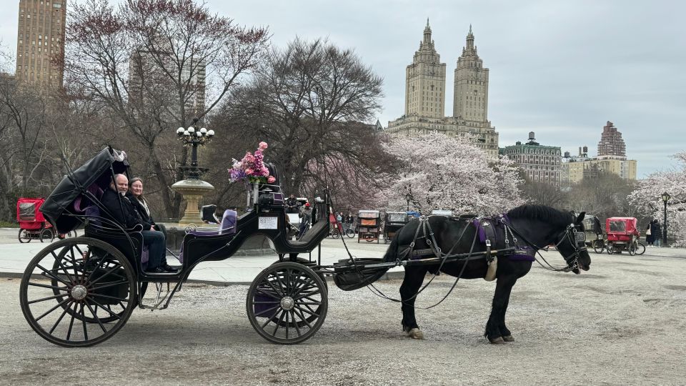 NYC Empire State Horse Carriage Rides (Central Park Tour) - Sum Up