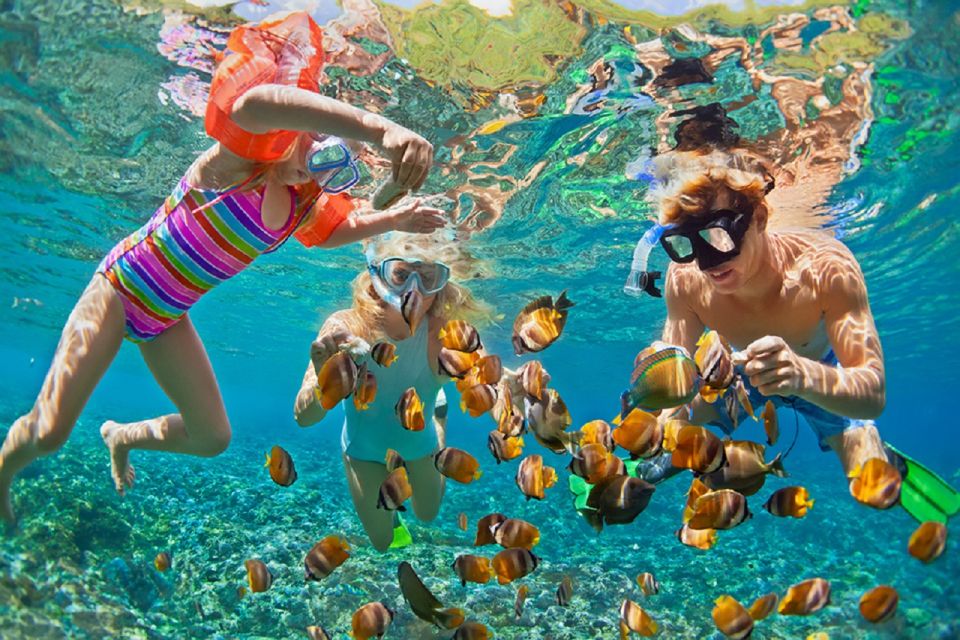 Oahu: 16-Point Guided Circle Tour With Snorkeling and Dole - Key Points