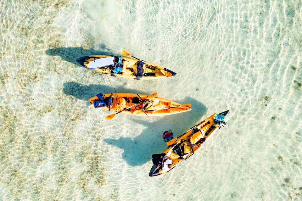 Oahu: Kaneohe Self-Guided Sandbar Kayaking Experience - Description