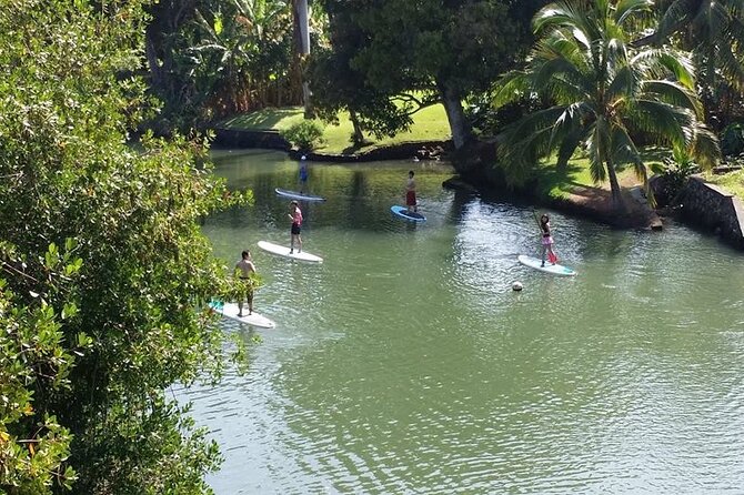 Oahu North Shore Small-Group Stand-Up Paddleboard Turtle Tour - Sum Up