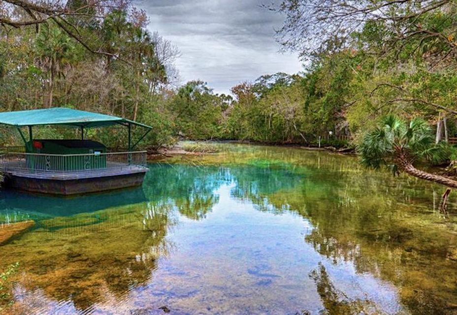 Orlando: Swim With Manatees and Homosassa State Park Visit - Booking Details and Information