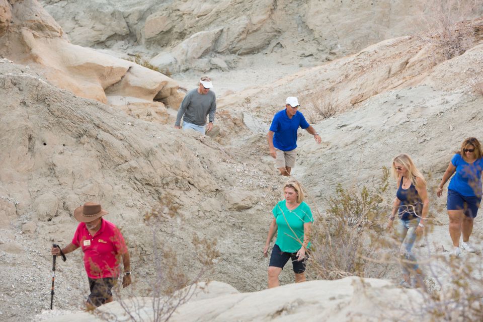 Palm Springs: San Andreas Fault Open-Air Jeep Tour - Recommendations