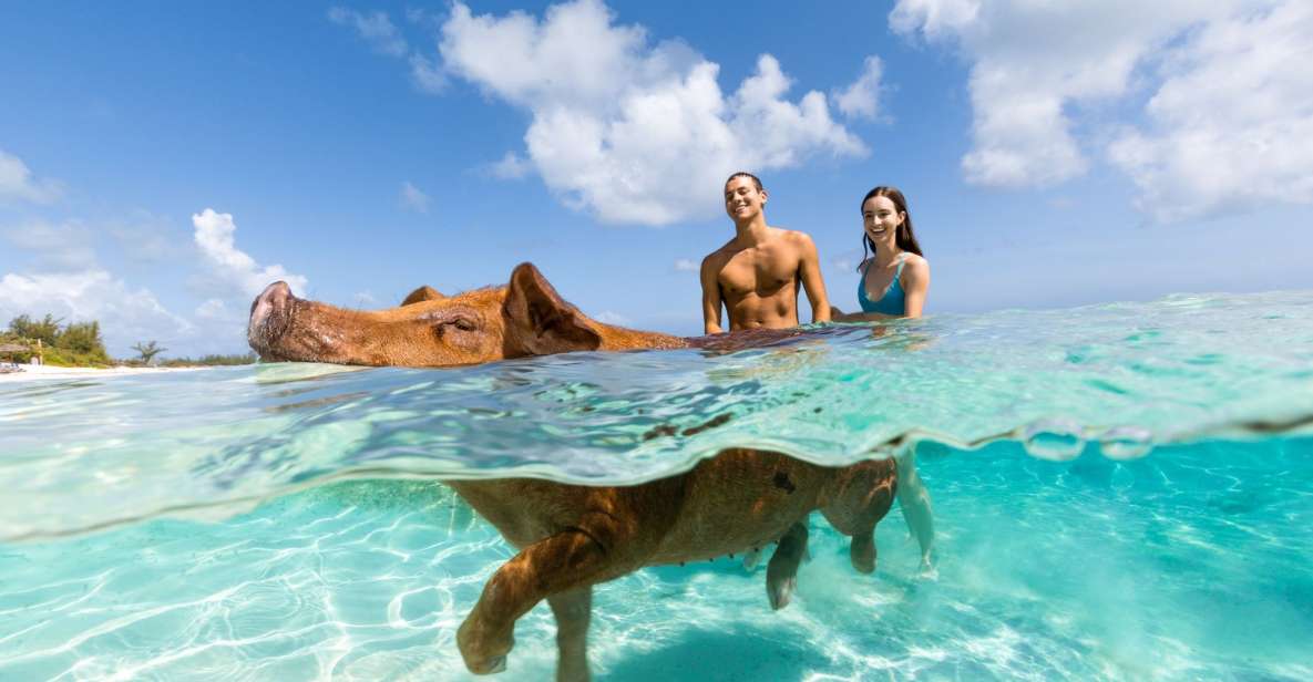 Paradise Island: Rose Island Tour With Swimming Pigs & Lunch - Important Information