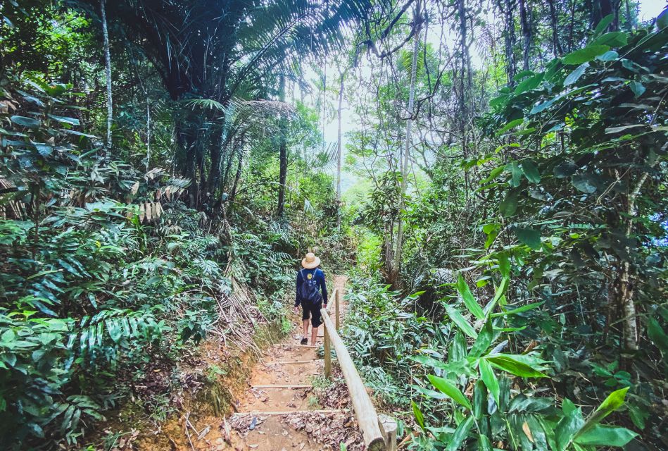 Paraty: Sono Beach Half-day Tour - Common questions