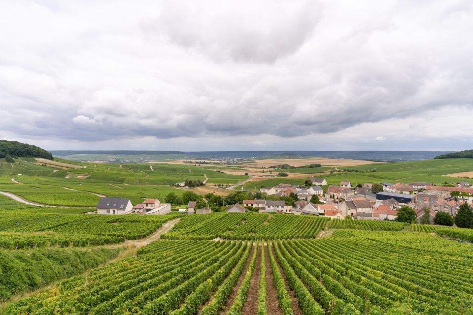 Paris: Discover the Champagne Region With 8 Tastings & Lunch - Important Information for Participants