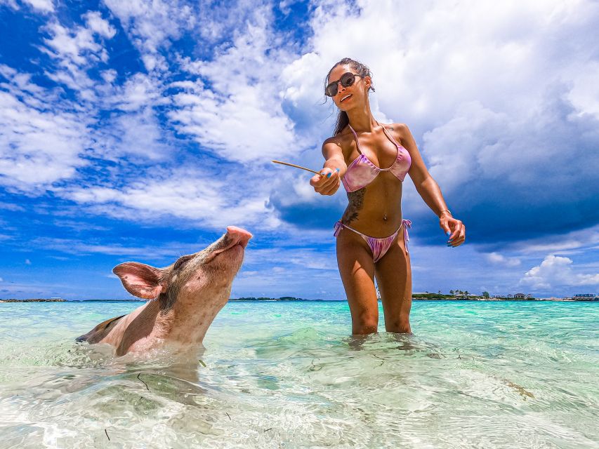 Pearl Island: Pigs Beach With Lunch - Customer Reviews