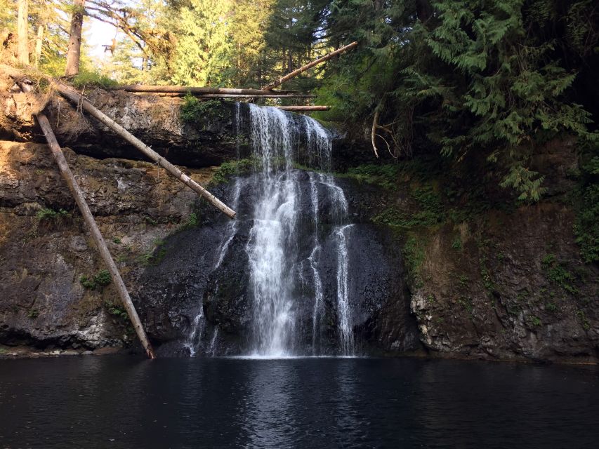 Portland: Silver Falls Hike and Wine Tour - Background
